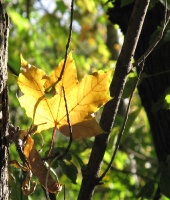 655224D26015-2.jpg