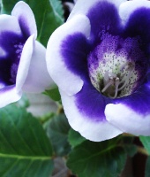 B385071C0F8B-8.jpg