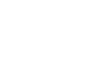Vertex Space logo