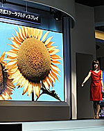 OLED Телевизор