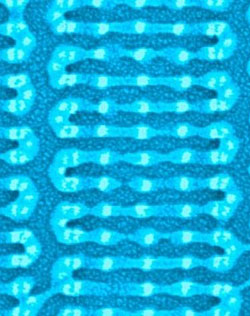 Цепи полимеров располагаются сами, но конечный рисунок зависит от множества управляемых параметров, например, расположения опорных конструкций или состава материала