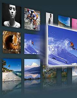 Бесплатный инструмент управления фотографиями Google Picasa обновился до версии 3.5.