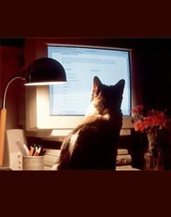 IBM построила компьютерную модель мозга кошки