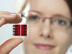 Органическая матрица