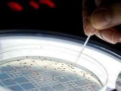 Свехчувствительный датчик