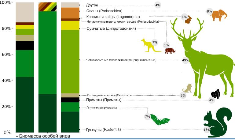 Источник: www.pnas.org Массы ращных млекопитающих