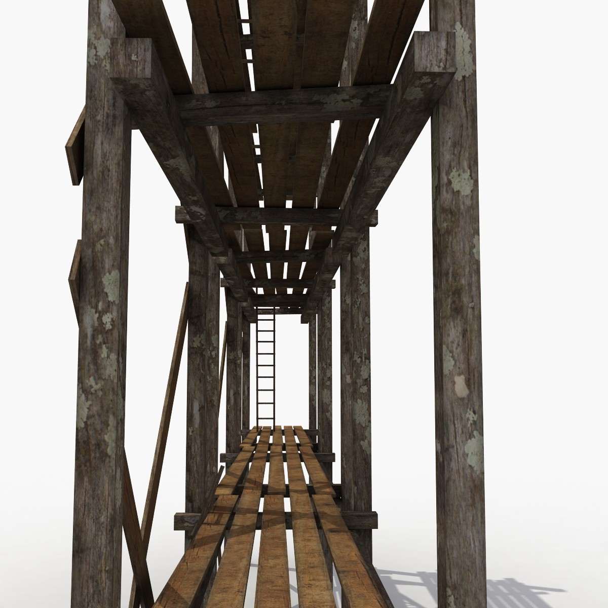 3d model Scaffolding