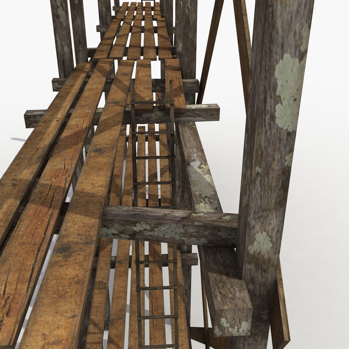 3d model Scaffolding